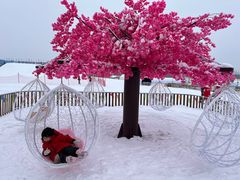 -绿野森林乐园冰雪季