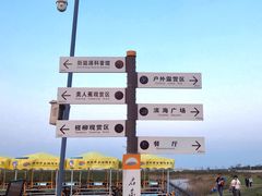 -启东黄金海滩景区