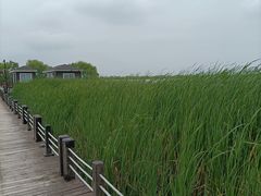 -苏州太湖湖滨国家湿地公园