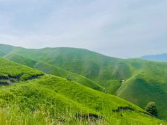 -新疆那拉提国家旅游度假区