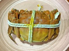 阳澄湖大闸蟹-黄记大闸蟹专卖店·活蟹·醉蟹