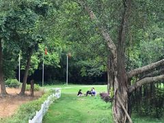 -南宁良凤江国家森林公园