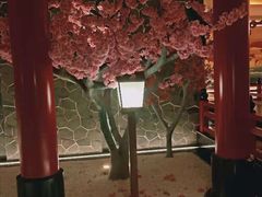 -蓝鲸湾汤泉(包河店)