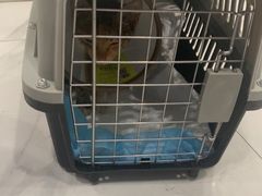 -艾吉宠物医院·疑难杂症转诊中心·猫友好(碧江路院)