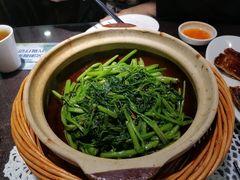 -熠盛粤味·顺德桑拿鸡(永康路店)