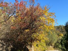 -北京西山国家森林公园