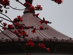 -南普陀寺