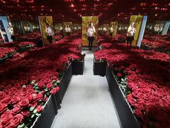 -成都梵高星空艺术馆(春熙路旗舰店)