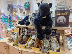 -三联韬奋书店(宽窄巷子店)