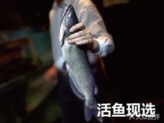 -鱼酷活鱼烤鱼(沈阳大悦城店)