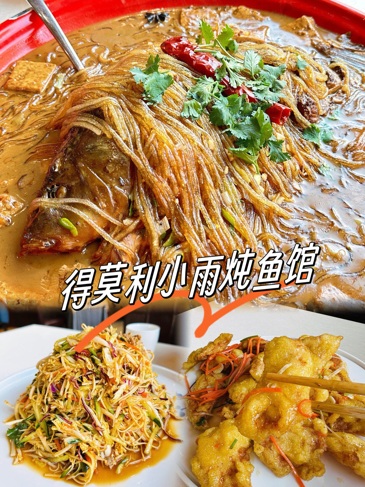 哈尔滨地道美食—得莫利炖鱼95