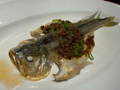 -悦海堂(金融街购物中心店)