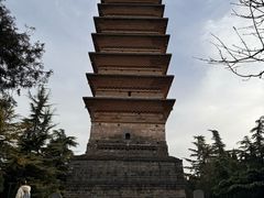 -洛阳白马寺