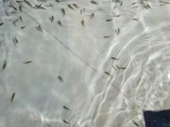 -水晶之星洗浴温泉汗蒸