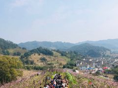 -溪口-滕头旅游景区