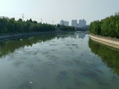 -商丘市人民公园