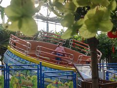 -南宫五洲植物乐园