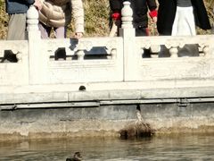 -南长河公园