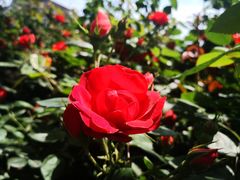 -八一南昌起义纪念塔