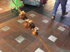 -真味烧烤(解放碑店)