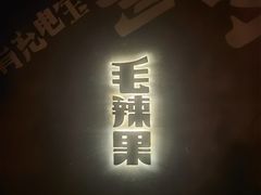 -毛辣果·酸