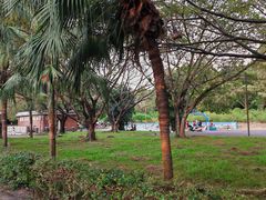 -南国桃园旅游度假区