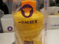 -一只酸奶牛(时代天街A馆店)