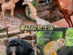-长鹿旅游休博园
