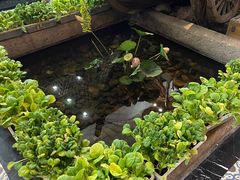 -世外桃源农庄·德清土菜(兴康南路店)