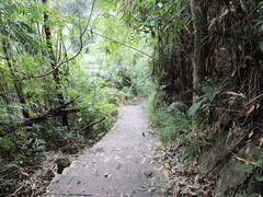 -海南热带雨林国家公园吊罗山景区