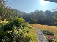 -云溪植物园