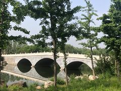-马家湾湿地公园