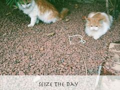 -龙达温泉生态城