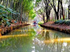 -同里国家湿地公园