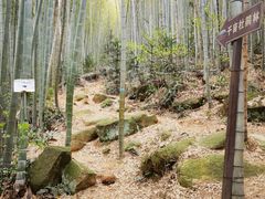 -山沟沟景区