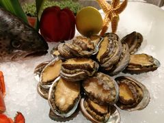 -沈阳和平艾美酒店新食谱西餐厅