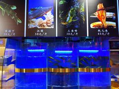 水产区-蛙一刀·麻椒鱼火锅(金仙桥店)