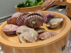 -龍歌自助小火锅(城阳万象汇店)