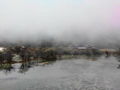 -黄龙山原始森林景区