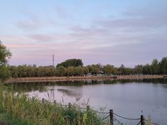 -野鸭湖国家湿地公园