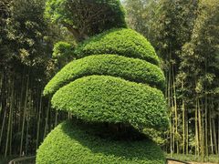 -苏州河梦清园环保主题公园