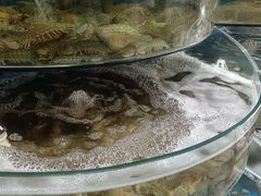 -蓝珊甄选海鲜自助·火锅大排档(近阿那亚店)