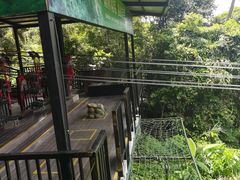 -呀诺达热带雨林