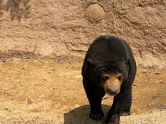 -杭州野生动物世界