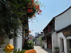 -青果巷历史文化街区
