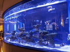 -上和臻品中国菜(花园街店)