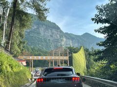 -重庆睡佛山森林公园