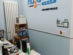 -纳吉亚猫专科动物诊疗中心(蒋宅口分院)