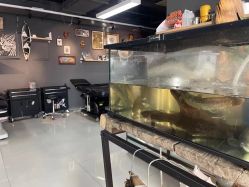 -周忆刺青原创设计定制