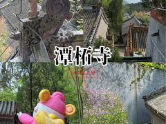 -潭柘寺景区